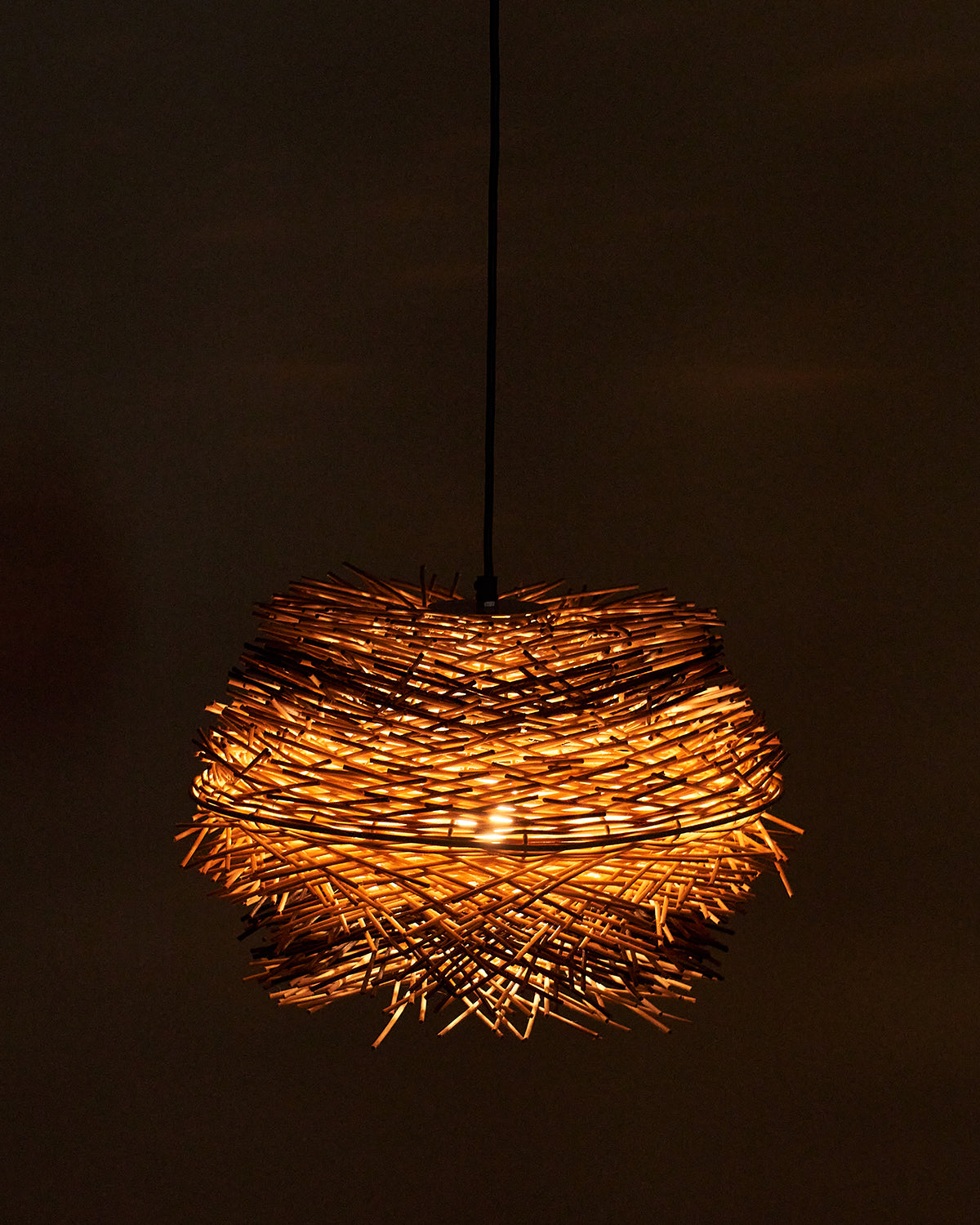 Bird's Nest Light